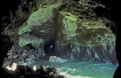inner chamber of sea lion caves